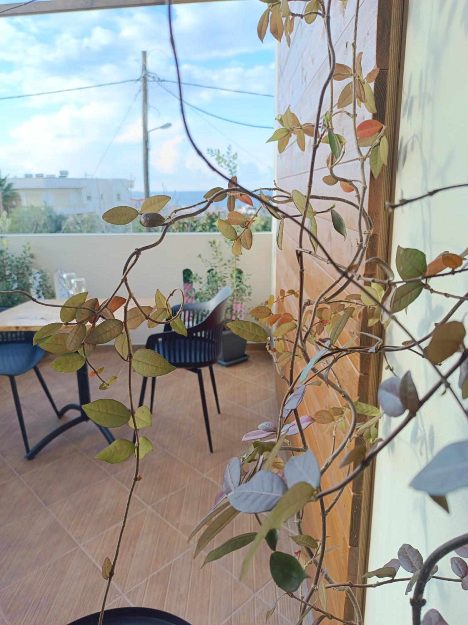 Giodriana Cozy Studio Agia Marina Dış mekan fotoğraf